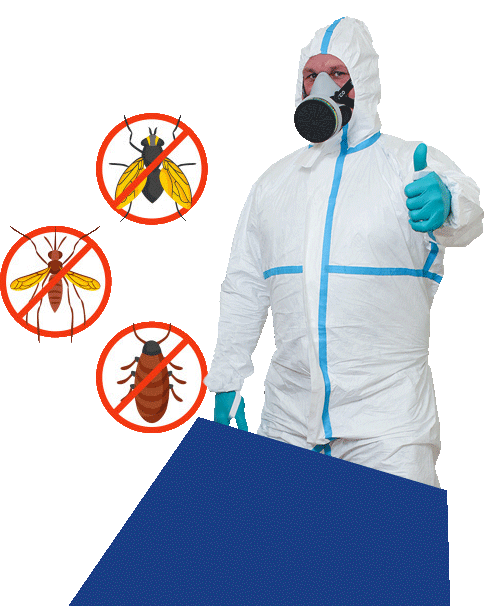 A men image with pest control service
