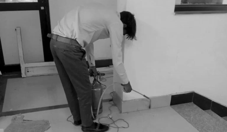A professional pest control worker ensuring a pest-free home and business with effective solutions.